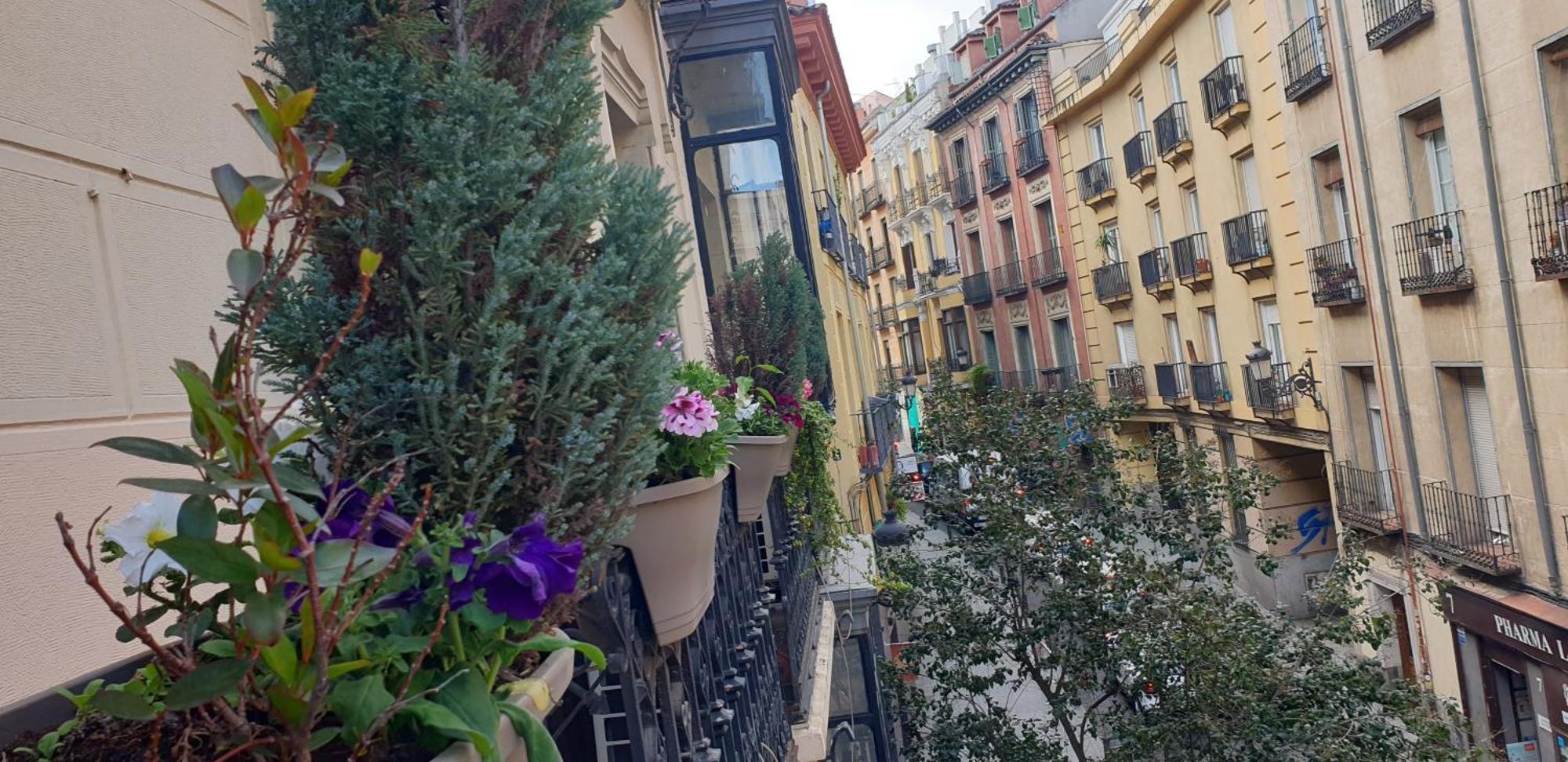 Hostal Las Fuentes (Adults Only) Madrid Esterno foto